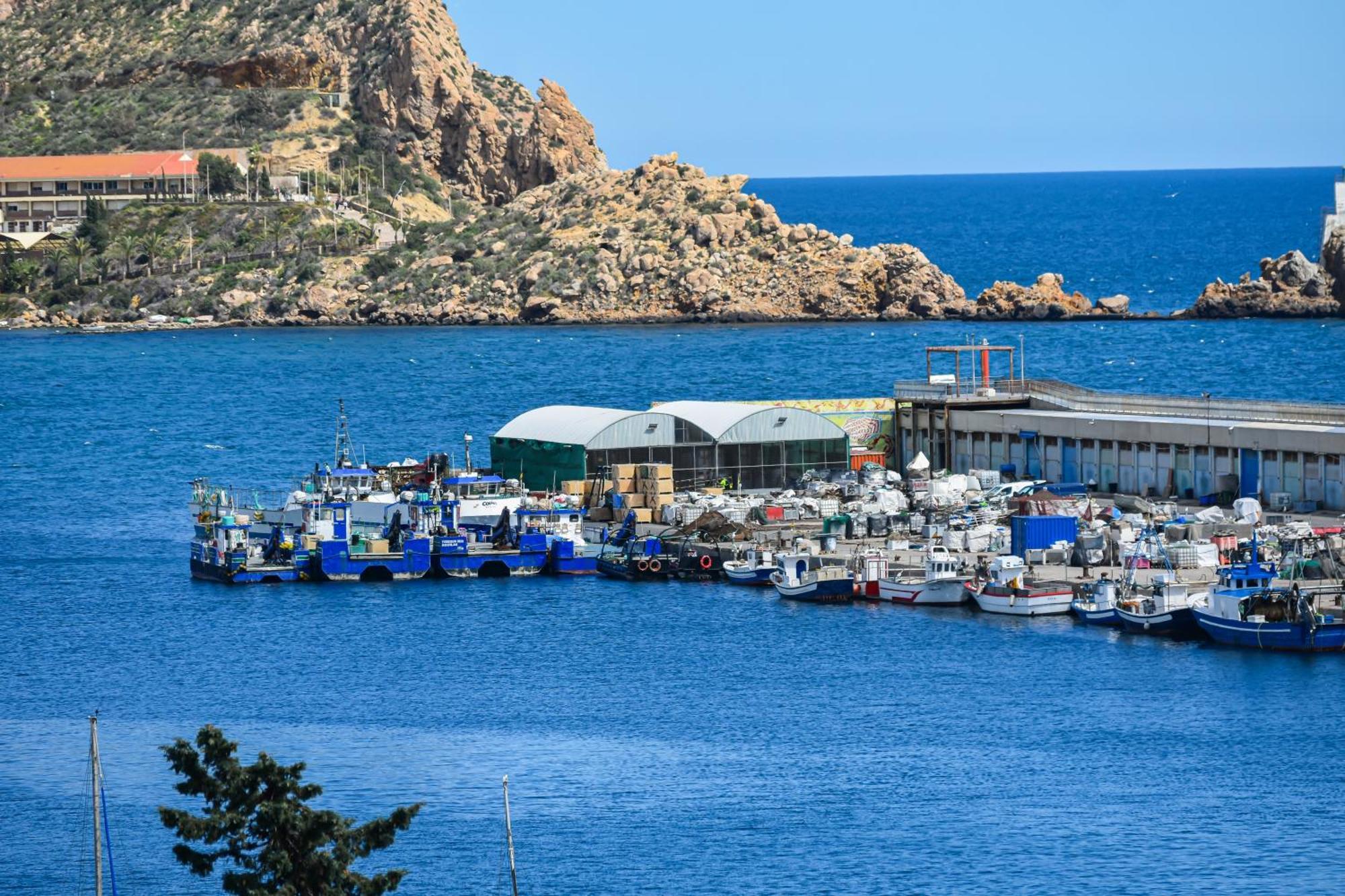 Dream View Aguilas - By Aloha Palma Екстериор снимка