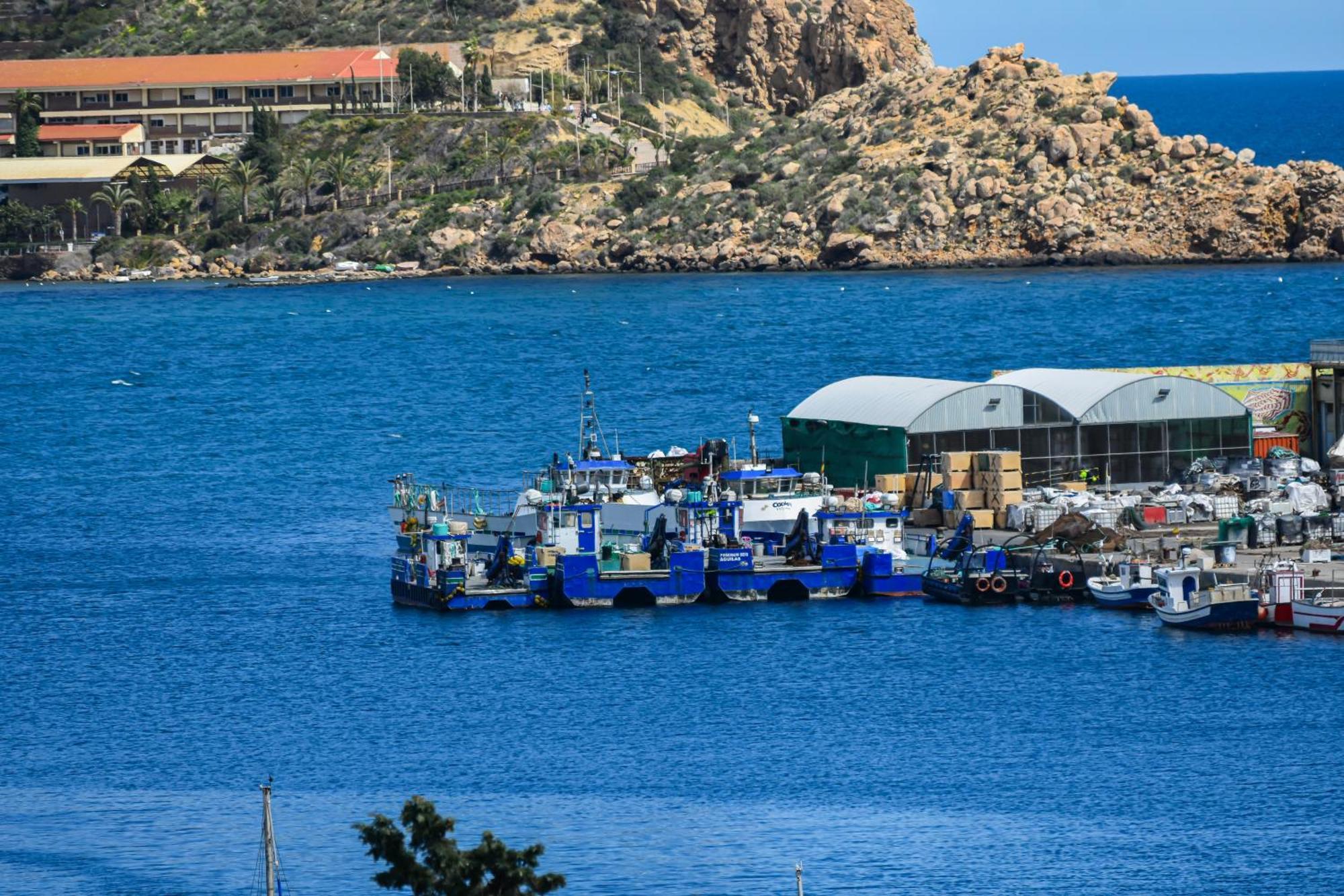Dream View Aguilas - By Aloha Palma Екстериор снимка